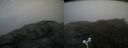 ./images/calvert/buxton2/20170702/buxton220170702_085339M.jpg