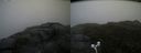 ./images/calvert/buxton2/20170702/buxton220170702_112839M.jpg