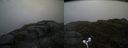 ./images/calvert/buxton2/20170702/buxton220170702_114336M.jpg
