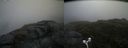 ./images/calvert/buxton2/20170702/buxton220170702_120339M.jpg