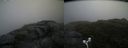 ./images/calvert/buxton2/20170702/buxton220170702_132839M.jpg