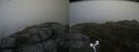 ./images/calvert/buxton2/20170702/buxton220170702_151840M.jpg