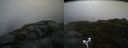 ./images/calvert/buxton2/20170702/buxton220170702_154842M.jpg