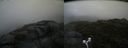 ./images/calvert/buxton2/20170702/buxton220170702_161842M.jpg