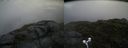 ./images/calvert/buxton2/20170702/buxton220170702_162338M.jpg