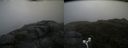 ./images/calvert/buxton2/20170702/buxton220170702_163340M.jpg