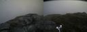 ./images/calvert/buxton2/20170702/buxton220170702_172841M.jpg