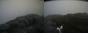 ./images/calvert/buxton2/20170702/buxton220170702_194840M.jpg