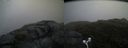 ./images/calvert/buxton2/20170702/buxton220170702_205342M.jpg