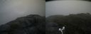 ./images/calvert/buxton2/20170703/buxton220170703_070526M.jpg