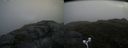 ./images/calvert/buxton2/20170703/buxton220170703_072026M.jpg