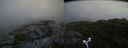 ./images/calvert/buxton2/20170703/buxton220170703_094526M.jpg