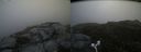 ./images/calvert/buxton2/20170706/buxton220170706_070402M.jpg