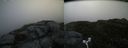 ./images/calvert/buxton2/20170706/buxton220170706_073353M.jpg