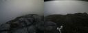 ./images/calvert/buxton2/20170706/buxton220170706_084353M.jpg
