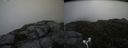 ./images/calvert/buxton2/20170707/buxton220170707_104331M.jpg