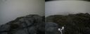 ./images/calvert/buxton2/20170707/buxton220170707_110831M.jpg