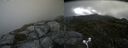 ./images/calvert/buxton2/20170707/buxton220170707_115322M.jpg