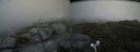 ./images/calvert/buxton2/20170707/buxton220170707_151308M.jpg