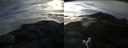 ./images/calvert/buxton2/20170708/buxton220170708_064238M.jpg