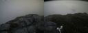 ./images/calvert/buxton2/20170708/buxton220170708_083238M.jpg