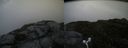 ./images/calvert/buxton2/20170708/buxton220170708_083739M.jpg