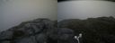 ./images/calvert/buxton2/20170708/buxton220170708_084239M.jpg