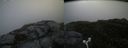 ./images/calvert/buxton2/20170708/buxton220170708_085236M.jpg