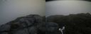./images/calvert/buxton2/20170708/buxton220170708_090240M.jpg