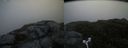 ./images/calvert/buxton2/20170708/buxton220170708_090738M.jpg