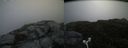 ./images/calvert/buxton2/20170708/buxton220170708_095239M.jpg