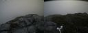 ./images/calvert/buxton2/20170708/buxton220170708_095738M.jpg