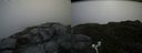 ./images/calvert/buxton2/20170708/buxton220170708_100738M.jpg