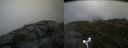 ./images/calvert/buxton2/20170708/buxton220170708_175239M.jpg