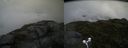 ./images/calvert/buxton2/20170708/buxton220170708_182238M.jpg