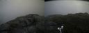 ./images/calvert/buxton2/20170709/buxton220170709_081707M.jpg