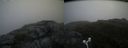 ./images/calvert/buxton2/20170709/buxton220170709_092206M.jpg