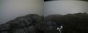./images/calvert/buxton2/20170709/buxton220170709_100205M.jpg