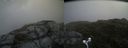 ./images/calvert/buxton2/20170709/buxton220170709_103705M.jpg