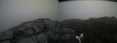 ./images/calvert/buxton2/20170709/buxton220170709_113706M.jpg