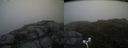 ./images/calvert/buxton2/20170709/buxton220170709_114708M.jpg