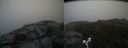 ./images/calvert/buxton2/20170709/buxton220170709_115207M.jpg