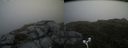 ./images/calvert/buxton2/20170709/buxton220170709_115708M.jpg