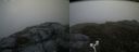 ./images/calvert/buxton2/20170709/buxton220170709_210209M.jpg
