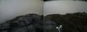 ./images/calvert/buxton2/20170710/buxton220170710_070136M.jpg