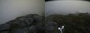./images/calvert/buxton2/20170711/buxton220170711_200104M.jpg