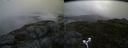 ./images/calvert/buxton2/20170711/buxton220170711_205607M.jpg
