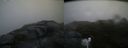 ./images/calvert/buxton2/20170712/buxton220170712_063034M.jpg