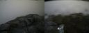 ./images/calvert/buxton2/20170712/buxton220170712_122037M.jpg
