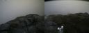 ./images/calvert/buxton2/20170712/buxton220170712_130036M.jpg